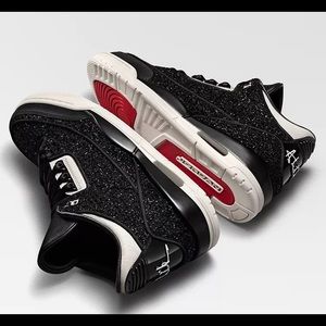 anna wintour jordan 3’s